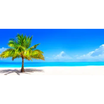 Natural Palm Trees 